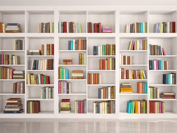 Bookshelf Assembly in Jackson